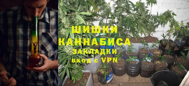 купить наркотик  Пугачёв  Канабис THC 21% 